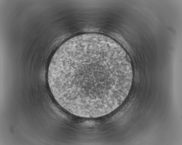 X0000111150441200907281136