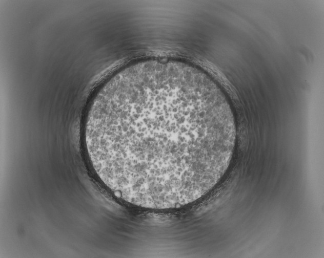 X0000111150442200907281136