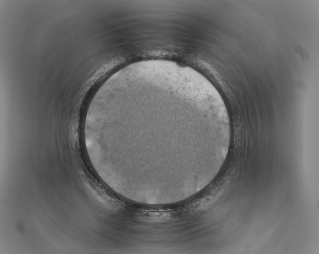 X0000111150443200907281136