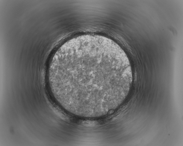 X0000111150444200907281136