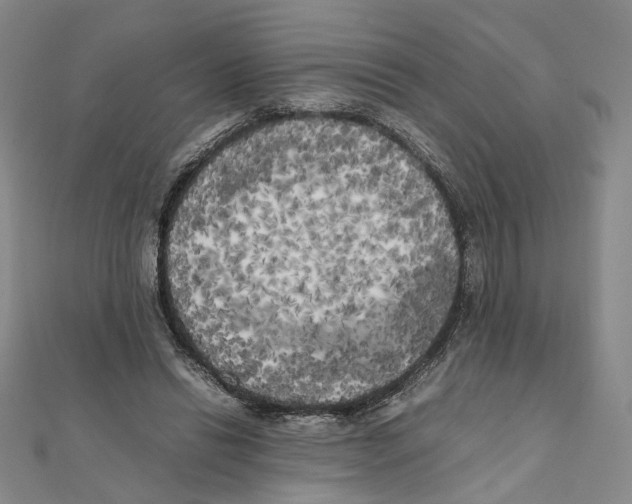 X0000111150446200907281136