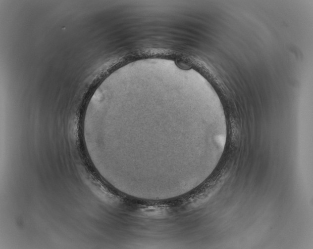 X0000111150447200907281136