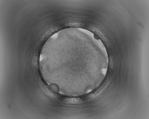 X0000111150449200907281136