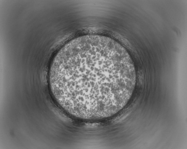 X0000111150450200907281136