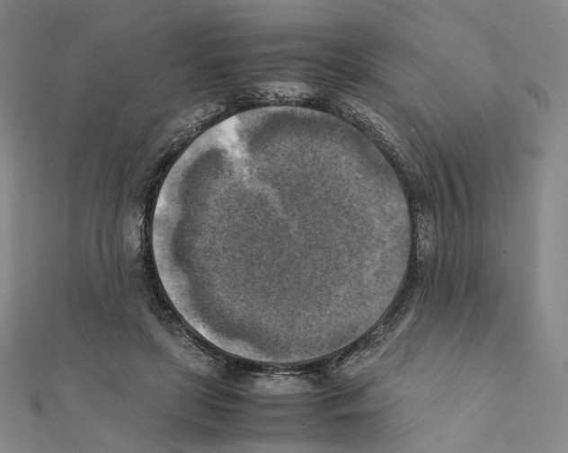 X0000111150451200907281136