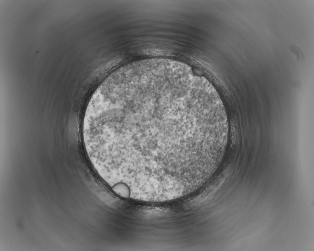 X0000111150453200907281136