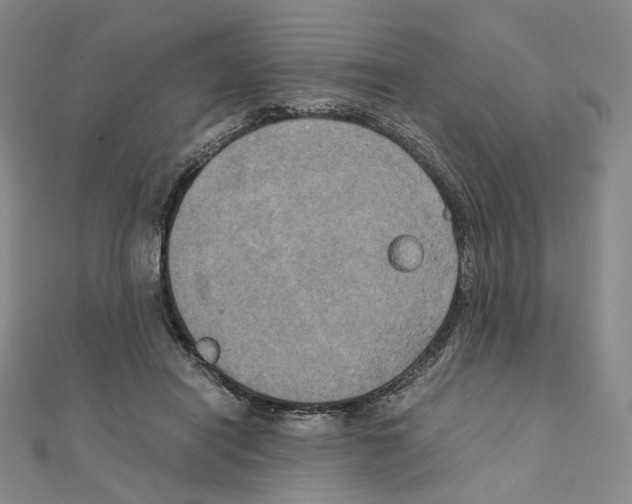 X0000111150454200907281136