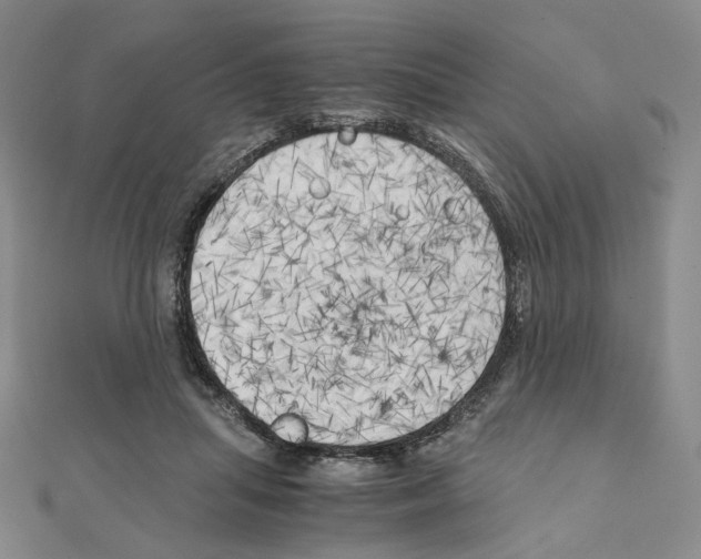 X0000111150455200907281136