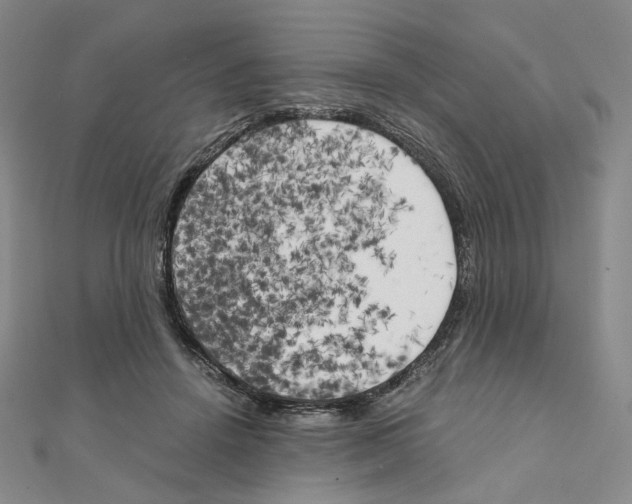 X0000111150456200907281136