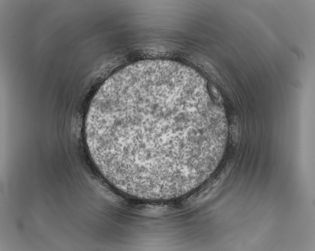 X0000111150458200907281136