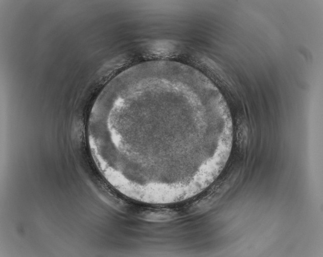 X0000111150459200907281136