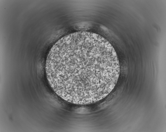 X0000111150460200907281136