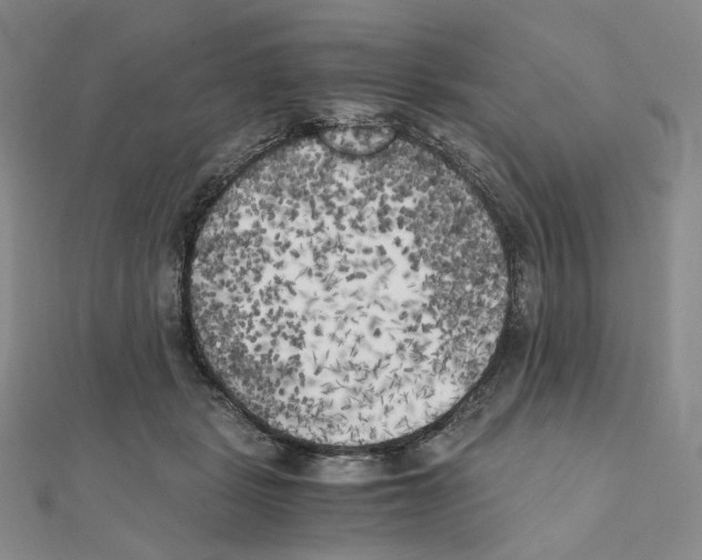 X0000111150461200907281136