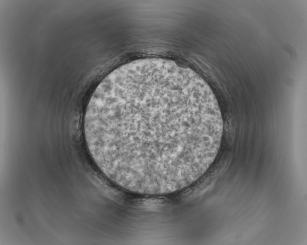 X0000111150462200907281136