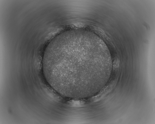 X0000111150464200907281136