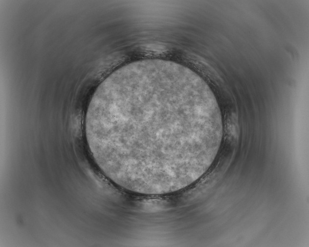 X0000111150468200907281136