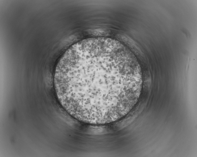 X0000111150469200907281136