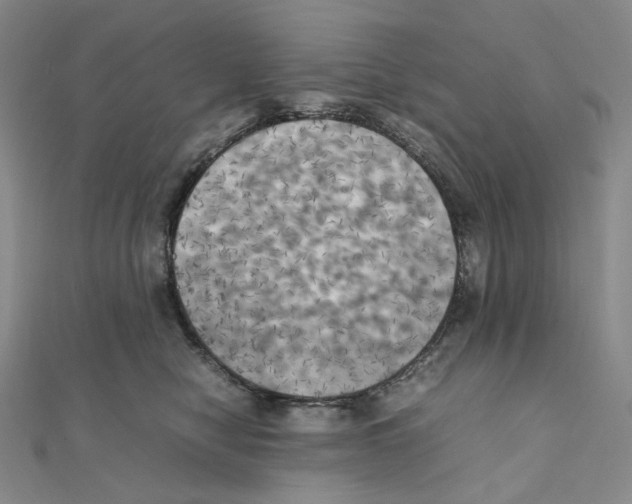 X0000111150470200907281136