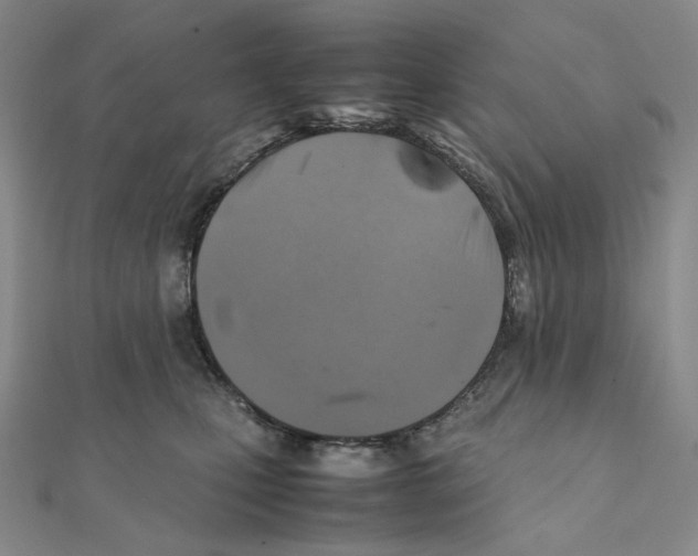 X0000111150471200907281136