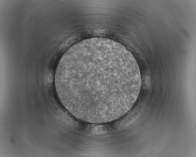 X0000111150472200907281136