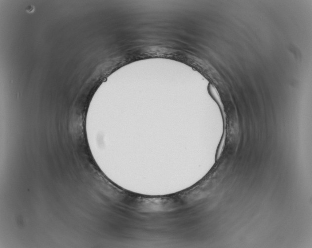 X0000111150473200907281136