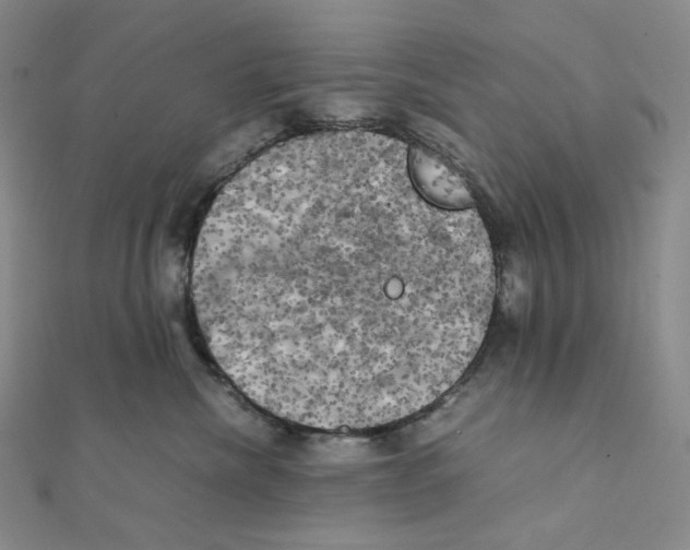 X0000111150476200907281136