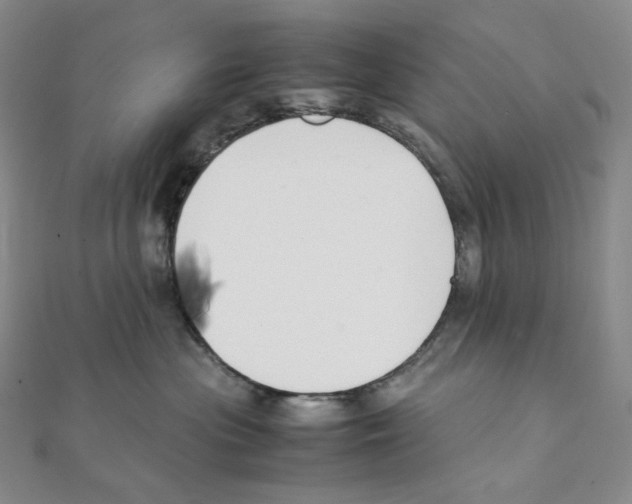 X0000111150477200907281136