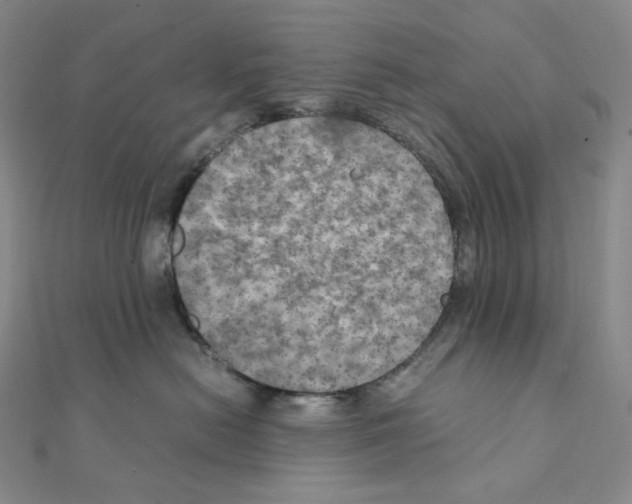 X0000111150478200907281136