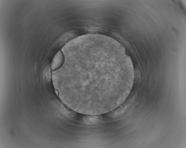 X0000111150479200907281136