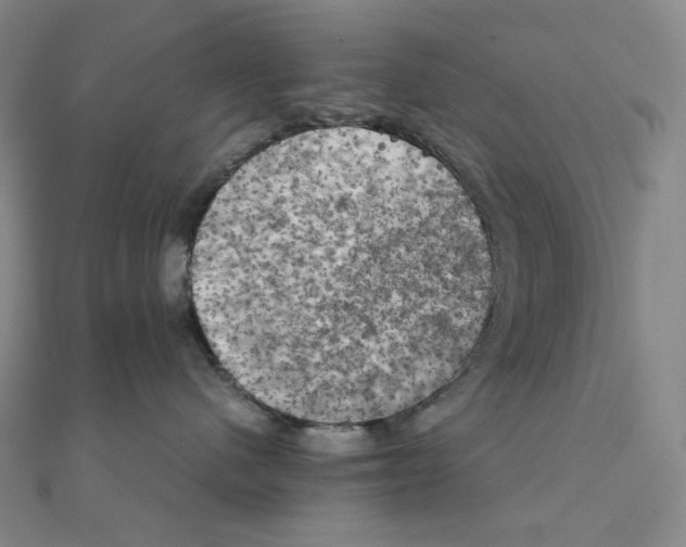 X0000111150480200907281136