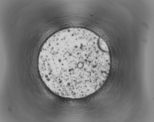 X0000111150481200907281135