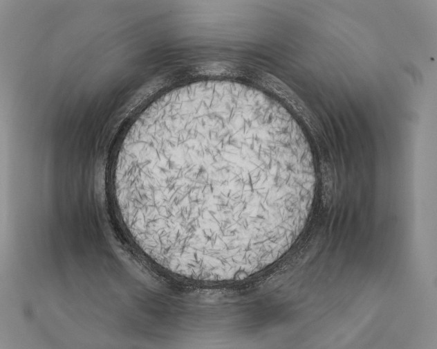 X0000111150482200907281135