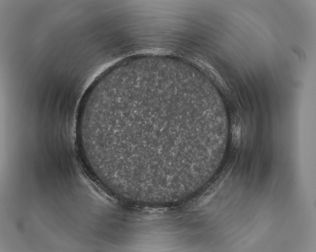 X0000111150484200907281135