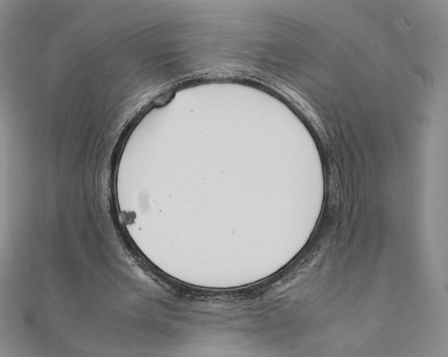 X0000111150485200907281135