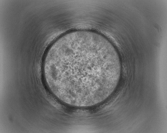 X0000111150487200907281135