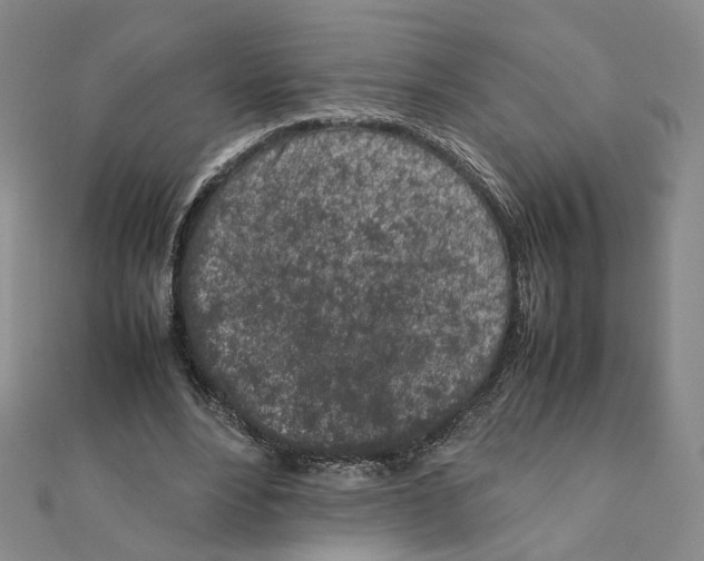 X0000111150488200907281135