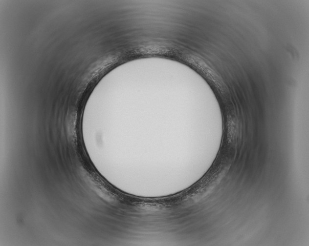 X0000111150490200907281135