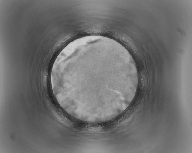 X0000111150491200907281135