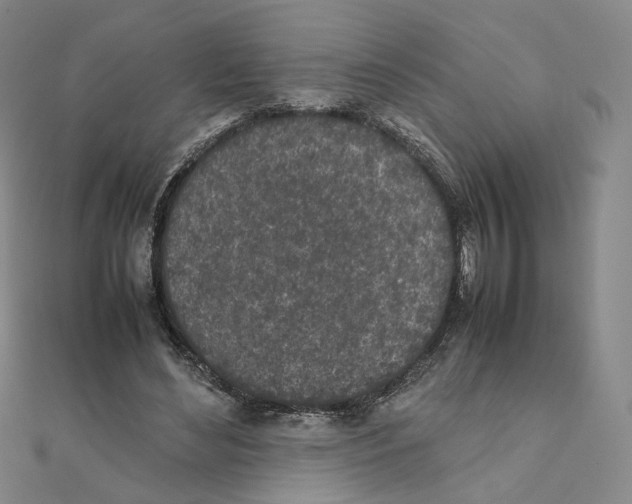 X0000111150492200907281135