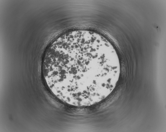 X0000111150493200907281135