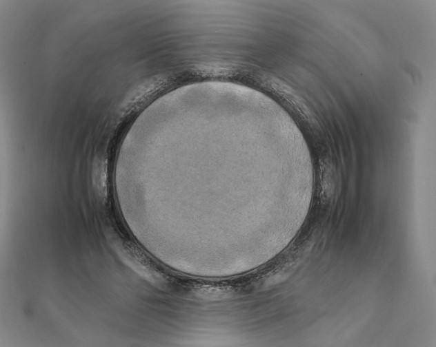 X0000111150494200907281135