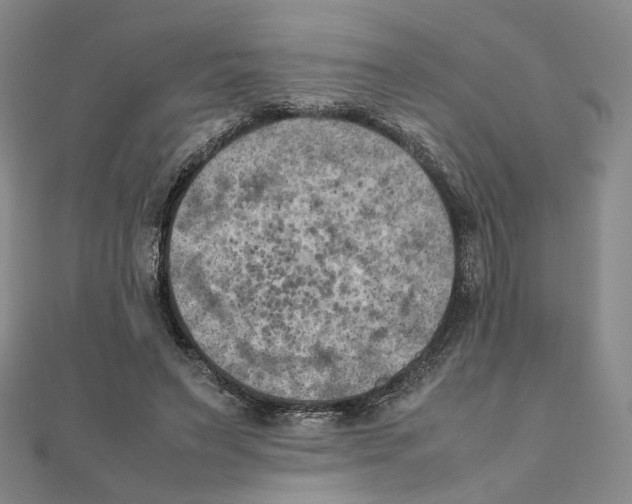 X0000111150495200907281135