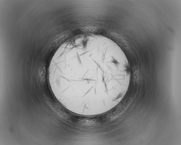 X0000111150498200907281135