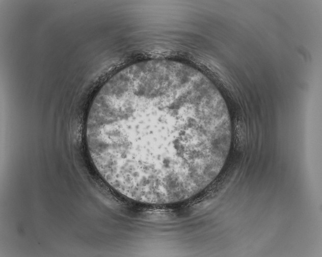 X0000111150499200907281135