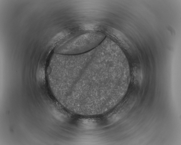 X0000111150500200907281135