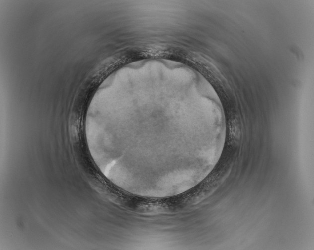 X0000111150503200907281135