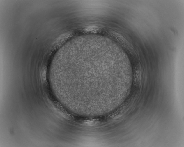 X0000111150504200907281135