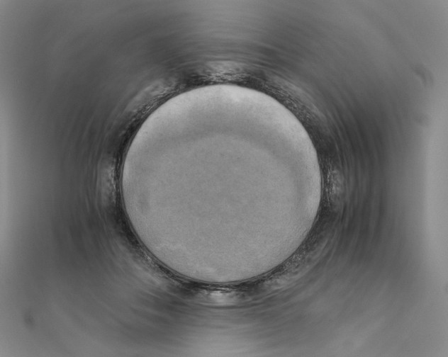 X0000111150506200907281135