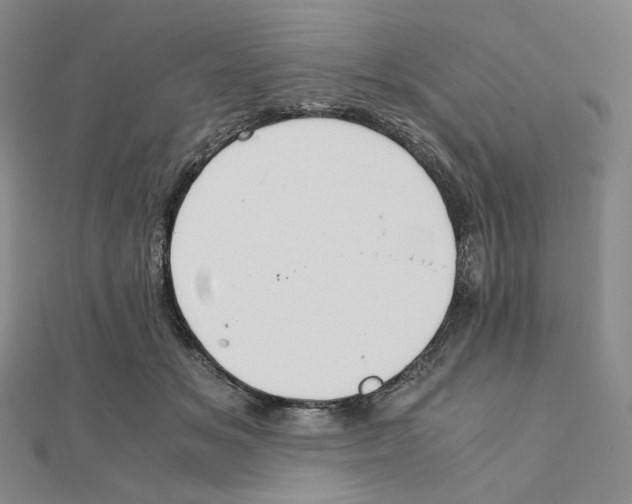 X0000111150509200907281135