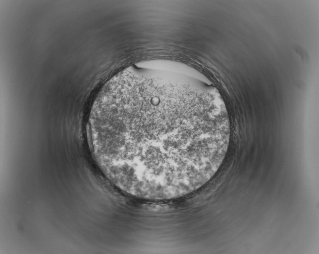 X0000111150512200907281135